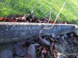 image of grave number 369169
